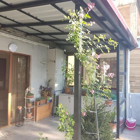 Apartment Agmashenebeli 99 Kobuleti Exterior photo